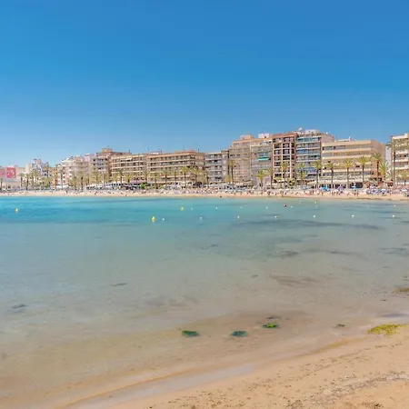 Amazing In With Kitchen Apartment Torrevieja